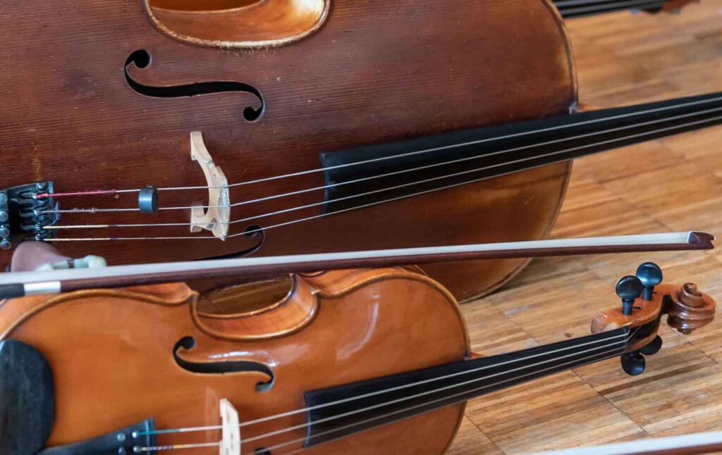 حقایق جالب درباره سازهای زهی